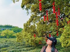-中国茶叶博物馆(双峰馆区)