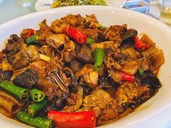松菇熬土鸡-青岛蓝海大饭店·渔歌舫(李沧店)