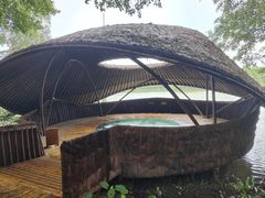 -大湾区中央湿地公园