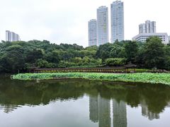 -龙头寺公园