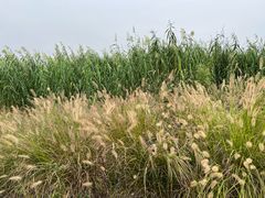 -良渚古城遗址公园