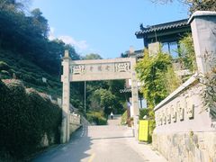 -十八棵（老龙井）御茶园(老龙井店)