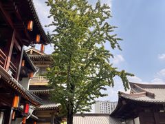 -香积寺