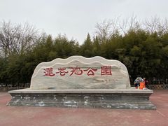 -莲花池公园
