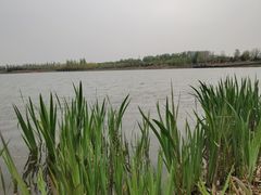 -东郊湿地公园