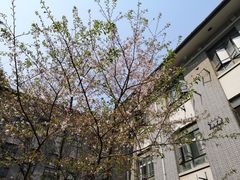 -华东理工大学徐汇校区-图书馆