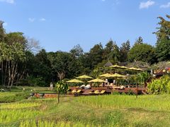 -四季酒店下午茶