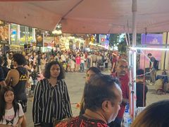 -新加坡乌节希尔顿酒店 (SG Clean)