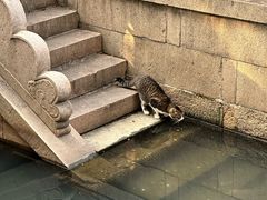 -西园寺素食(西园弄戒幢律寺店)