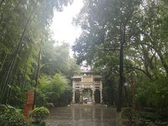 -天目湖山水园
