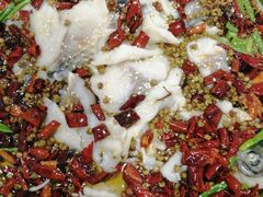 -天天鱼港·海鲜·鲅鱼水饺·招牌烤鸭(黄骅店)