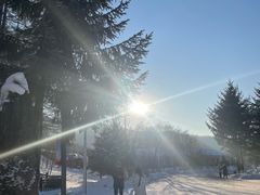 -横道河子东北虎林园