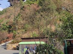 -杭州半山国家森林公园