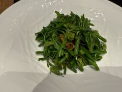 油鸡枞炝拌丝瓜尖-黔蘑菇四季餐厅(观山湖店)