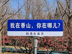 -香山公园