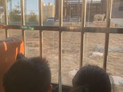 -太原动物园