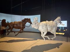 -扎耶德国家博物馆