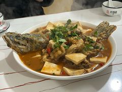 -煲来饱去冷水鱼