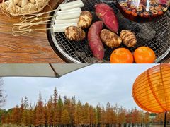 -白鹭湾湿地公园