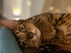 -Me Coffee下午茶艺术空间