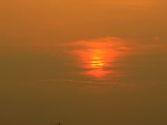 -吴淞炮台湾湿地森林公园烧烤区