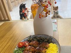 -柴犬小屋·柴餐厅·狗咖食堂(金鼎广场店)
