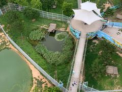 -西霞口神雕山野生动物世界