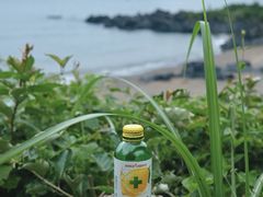 -松岳山