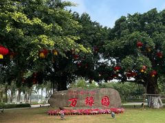 -万绿园