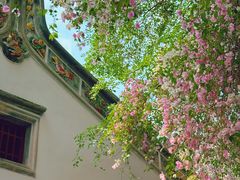 -深圳国际园林花卉博览园