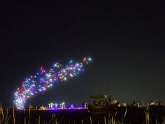 -大塘金香草谷
