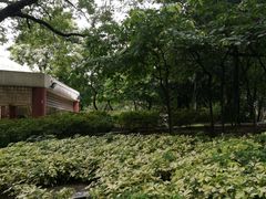 -屯门公园