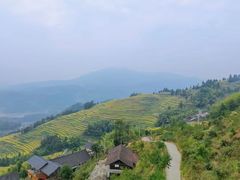 -紫鹊界梯田景区