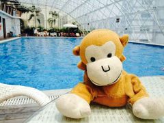 android_upload_pic-金御水汇(花都店)