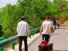 -白水寺森林公园