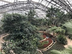 -南山植物园