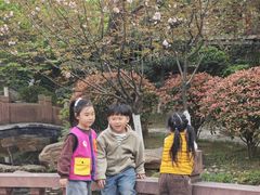 -武汉园博园(武汉自然博物馆)