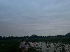 -白鹭湾湿地公园