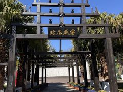 -云南民族村