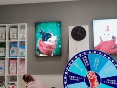 -关爱宠物医院·猫科中心·消化科(滨湖万达分院)