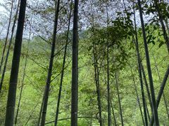 -千泷沟大瀑布旅游区