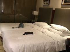 -香港尖沙咀凯悦酒店