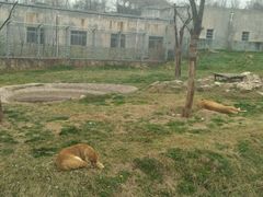 -西安秦岭野生动物园