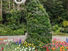 -深圳仙湖植物园