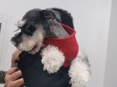 -宠福鑫康馨动物医院·骨科·眼科