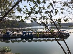 -食膳公园包子铺(烈士公园店)