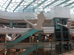 -大族广场Mall&More