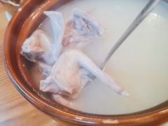 五指毛桃鸽-富哥食店