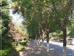 -竹叶涮肉坊(总店)