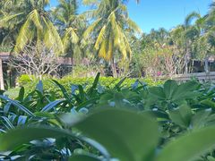 -海南清水湾莱佛士酒店